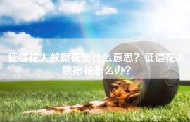 征信花大数据花是什么意思？征信花大数据花怎么办？