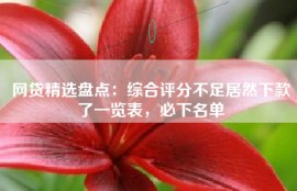 网贷精选盘点：综合评分不足居然下款了一览表，必下名单