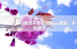 精选整理！借钱不看征信的app贷款，不容错过