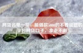 网贷名单一览，能借款5000的不看征信的平台网贷口子，拿走不谢