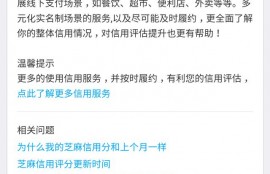 如何才可以提高花呗的额度呢？你有哪些好的方法呢？