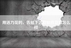 用活力花的，告知下这款软件贷款怎么样