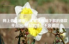 网上借钱被拒，试试这些能下款的借款平台2022借款软件，不容错过