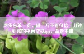 网贷名单一览，借一万不看征信三分钟到账的平台贷款app，拿走不谢