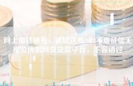 网上借钱被拒，试试这些2022不查征信无视负债的网贷贷款平台，不容错过