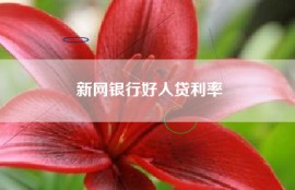 新网银行好人贷利率