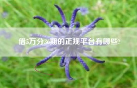 借5万分36期的正规平台有哪些?