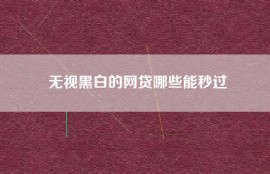 无视黑白的网贷哪些能秒过