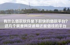 有什么借款软件是下款快的借款平台？这几个就是网贷逾期还能借钱的平台