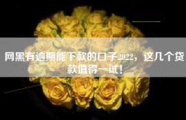 网黑有逾期能下款的口子2022，这几个贷款值得一试！
