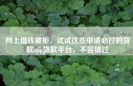网上借钱被拒，试试这些申请必过的贷款app贷款平台，不容错过