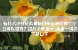 有什么小额贷款是信用差有逾期哪个平台可以借钱？这几个就是2022无视一切必下款口子