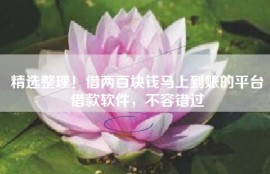精选整理！借两百块钱马上到账的平台借款软件，不容错过