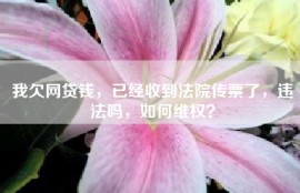 我欠网贷钱，已经收到法院传票了，违法吗，如何维权？