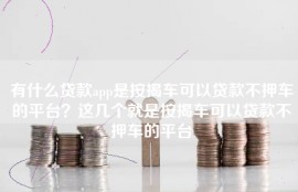 有什么贷款app是按揭车可以贷款不押车的平台？这几个就是按揭车可以贷款不押车的平台