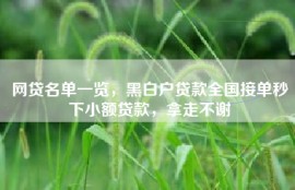网贷名单一览，黑白户贷款全国接单秒下小额贷款，拿走不谢
