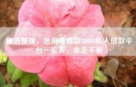 精选整理，急用钱借款30000私人借款平台一览表，拿走不谢