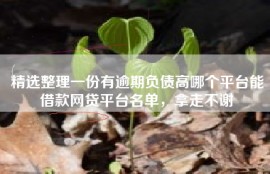 精选整理一份有逾期负债高哪个平台能借款网贷平台名单，拿走不谢