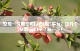 整理一份现在可以借钱的平台，这几个贷款app口子了解一下！