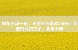 网贷名单一览，不看征信借款5000马上到账的网贷口子，拿走不谢