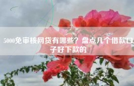 5000免审核网贷有哪些？盘点几个借款口子好下款的