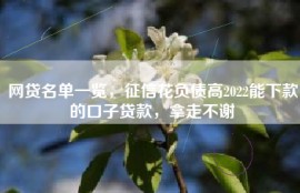 网贷名单一览，征信花负债高2022能下款的口子贷款，拿走不谢