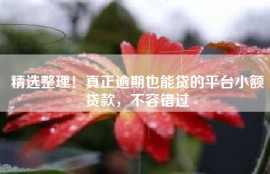 精选整理！真正逾期也能贷的平台小额贷款，不容错过