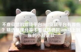 不查征信的借钱平台2022贷款平台有哪些？精选整理分享不看征信借款5000马上到账的小额贷款