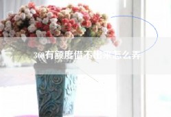 360有额度借不出来怎么弄