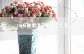 360有额度借不出来怎么弄
