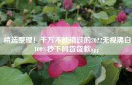 精选整理！千万不能错过的2022无视黑白100%秒下网贷贷款app