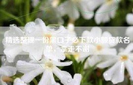 精选整理一份黑口子必下款小额贷款名单，拿走不谢
