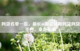 网贷名单一览，最长60期的分期网贷网贷平台，拿走不谢