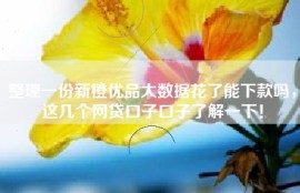 整理一份新橙优品大数据花了能下款吗，这几个网贷口子口子了解一下！