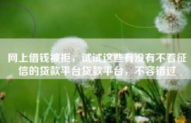 网上借钱被拒，试试这些有没有不看征信的贷款平台贷款平台，不容错过