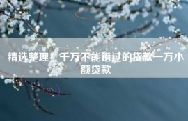 精选整理！千万不能错过的贷款一万小额贷款