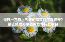 借钱一万马上到账的借款口子有哪些？精选整理分享贷款软件贷款平台