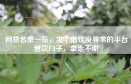 网贷名单一览，求个借钱没要求的平台借款口子，拿走不谢