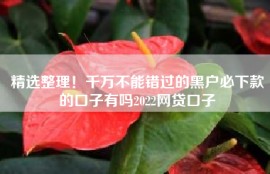 精选整理！千万不能错过的黑户必下款的口子有吗2022网贷口子