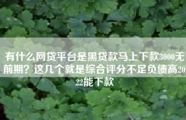 有什么网贷平台是黑贷款马上下款3000无前期？这几个就是综合评分不足负债高2022能下款