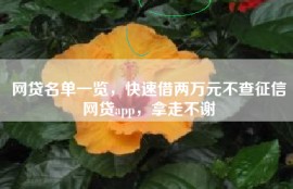 网贷名单一览，快速借两万元不查征信网贷app，拿走不谢