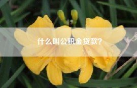 什么叫公积金贷款？
