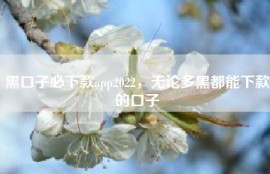 黑口子必下款app2022，无论多黑都能下款的口子