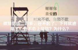 微博借钱二万多，还不起了，下月就逾期了，会不会上征信？为什么？
