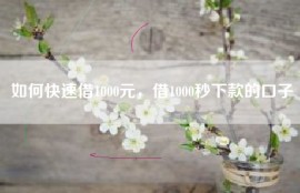 如何快速借1000元，借1000秒下款的口子