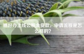 穗好办上线公积金贷款，申请流程是怎么样的？