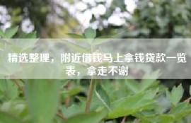 精选整理，附近借钱马上拿钱贷款一览表，拿走不谢