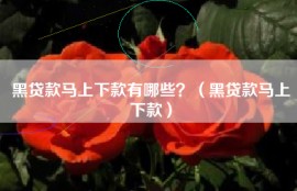 黑贷款马上下款有哪些？（黑贷款马上下款）