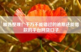 精选整理！千万不能错过的逾期还能借款的平台网贷口子