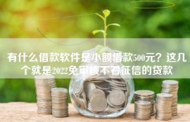 有什么借款软件是小额借款500元？这几个就是2022免审核不看征信的贷款